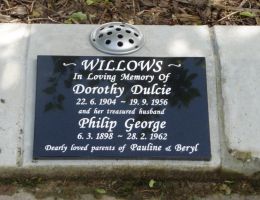 willows willows