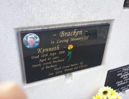 bracken bracken