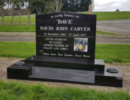 carver carver