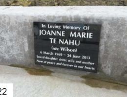 te nahu te nahu
