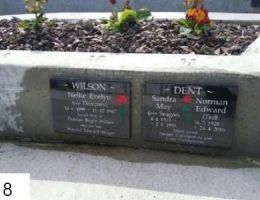 wilson dent