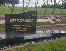 elwood lady dawn elwood lady dawn