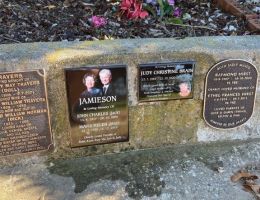 jamieson brain jamieson brain
