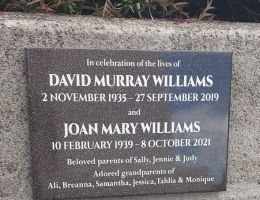 williams dm   jm